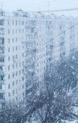 Бешеное желание.