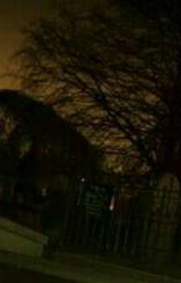 20 вопросов [ Закончено ]