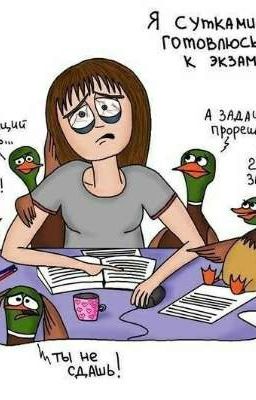 Университет