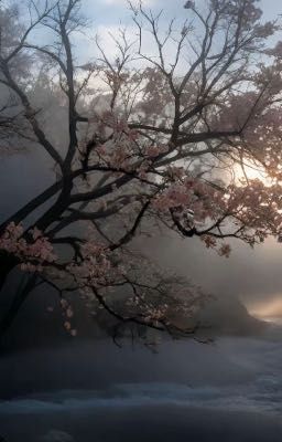 Ты вспомнишь меня когда зацветет сакура