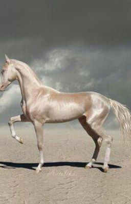 Авалония - подари мне жизнь