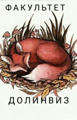 Факультет Долинвиз