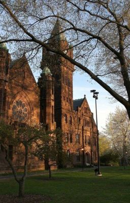 Тайный университет