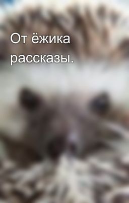 От ёжика рассказы.