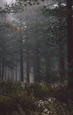 Классное тело