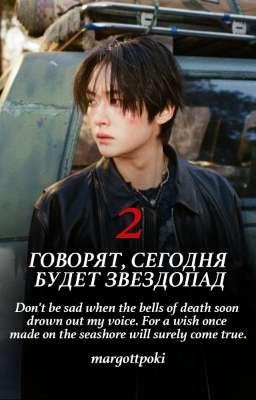 Говорят, сегодня будет звездопад 2