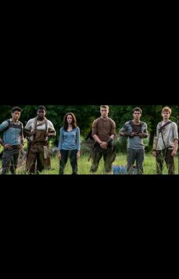 враги...или что-то большее?