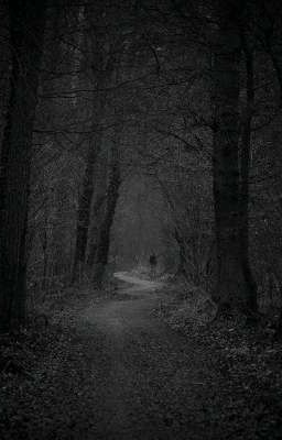 кошмар на ночь 