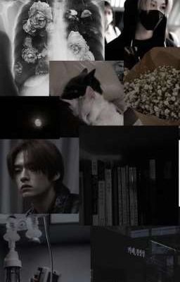 Идеально Убитые Чувства.