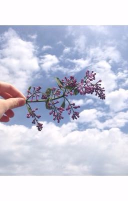 Описание Рая