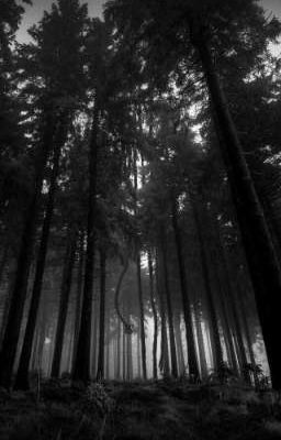 Сборник "Жуткие истории"