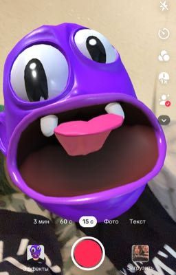 ПРИКЛЮЧЕНИЯ ВЕРОНИЧИХИ