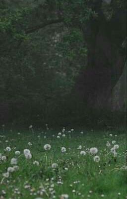 §~∆Временная петля любви∆~§(Заморожен,но не надолго)