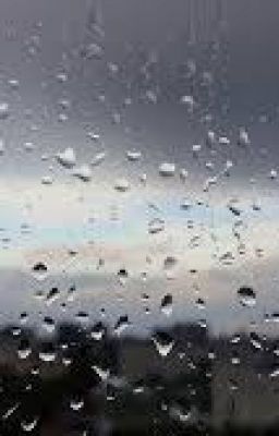 Встреча подарившая мне цель