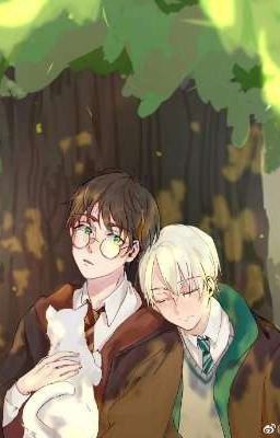 Кролик по имени Поттер