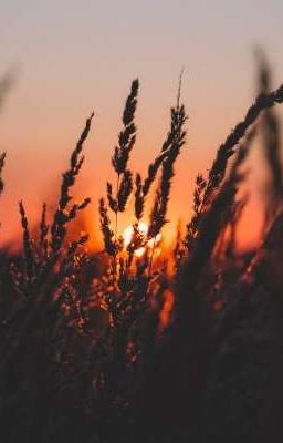 У него гранитный камушек в груди..