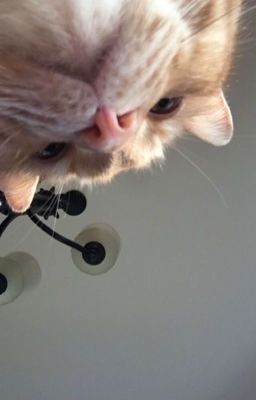 Всякая душевная фигня 