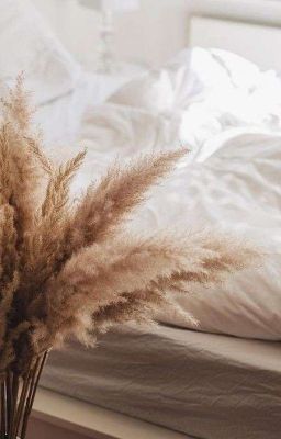 Эйдан и Т/И ×закончено×