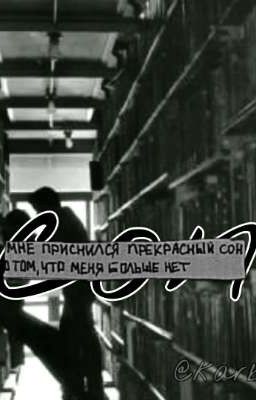 Сон переросший в что-то большее чем ненависть. 