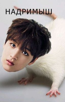 надримыши (нстшпроты, старые бомжи)