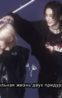 Школьная жизнь двух придурков 