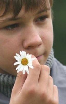 сволочи но с добрым сердцем