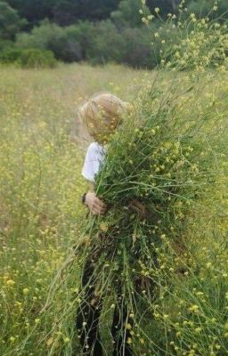 Золотистые кудри