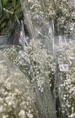 да или.. [мафаши]