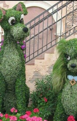 Дневник простой девочки!XD