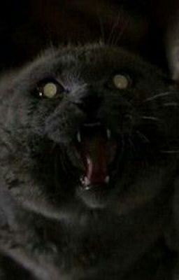 Мистика в Доме