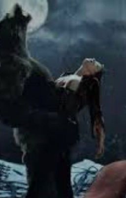 Полукровка и Альфа