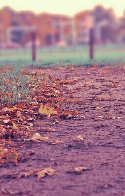 Ты как я, а я как ты.