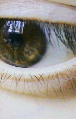 Мои Дурацкие Стихи