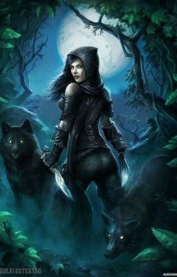 Приключения Метаморфа 