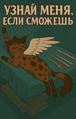 Узнай Меня, Если Сможешь. Коты Воители