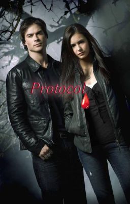 Протокол