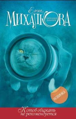 Котов обижать не рекомендуется