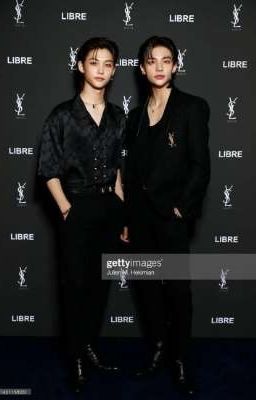 Лепестки роз