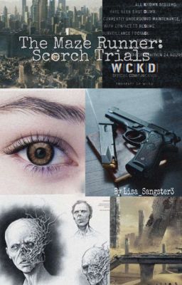 The Maze Runner.New Story 2.