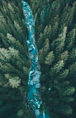 книги для прочтения