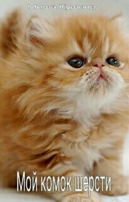Мой комок шерсти 