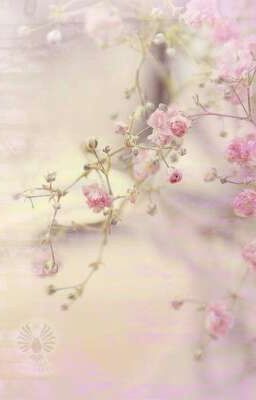 Христианские стихи 