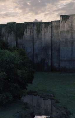 Девушка, которая не может говорить, или всё же может?