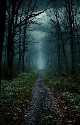 Сумеречными Тропами