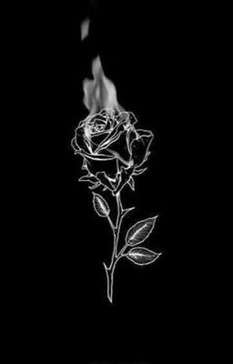 Темные розы