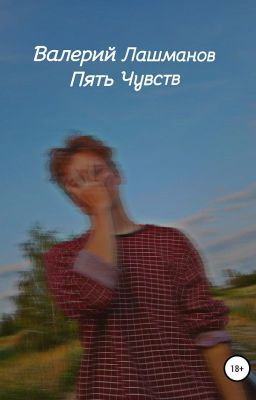 Пять Чувств