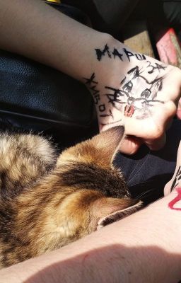 Сострадание