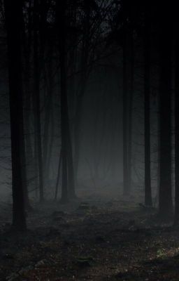 неизведанный лес..