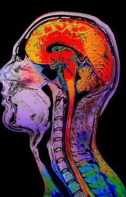 Ужасы маленького городка