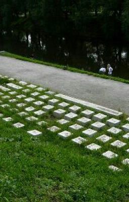 Сообщество.